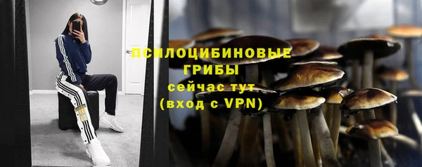 mdma Дмитриев