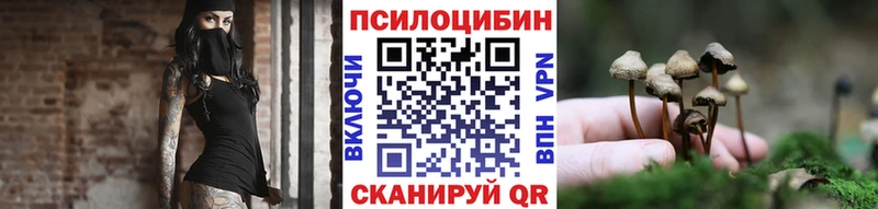 где найти наркотики  Зверево  Псилоцибиновые грибы мухоморы 