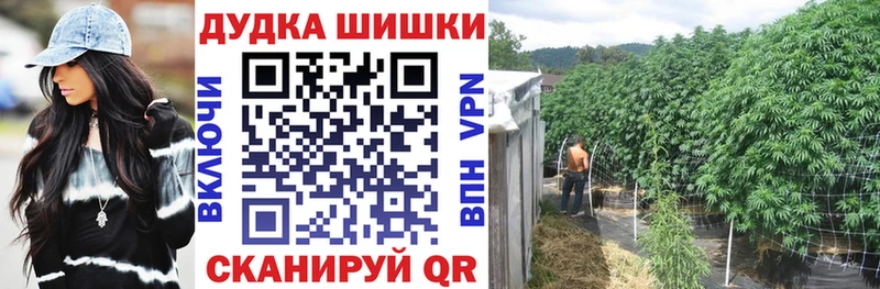 купить наркоту  Зверево  Марихуана гибрид 